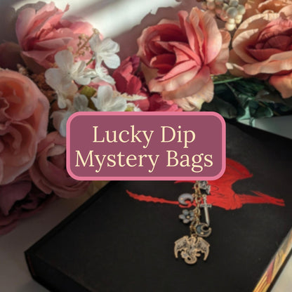 Bookish Charm Mystery Bag - Keychain & Phone Grip Lucky Dip